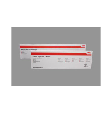 A3 Banner Media 297x1200mm 160g matt (40)